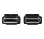 Tripp Lite P580-010 câble DisplayPort 3,05 m Noir