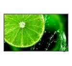 NEC MultiSync E658 165,1 cm (65") IPS 350 cd/m² 4K Ultra HD Noir 16/7