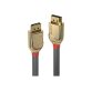 Lindy 36292 câble DisplayPort 2 m Or