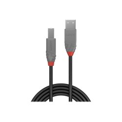 Lindy 36673 câble USB USB 2.0 2 m USB A USB B Noir
