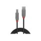 Lindy 36673 câble USB USB 2.0 2 m USB A USB B Noir