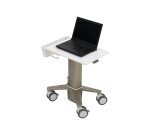 Ergotron C50-1100-0 Support de livres Supports de Laptop Gris 39,6 cm (15.6")