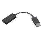 Lenovo 4X90R61023 câble vidéo et adaptateur 0,225 m DisplayPort HDMI Type A (Standard) Noir