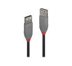 Lindy Rallonge USB 2.0 type A, Anthra Line, 2m