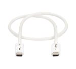 StarTech.com Câble Thunderbolt 3 Passif de 50 cm, 40 Gbps, 100W PD, Vidéo 4K/5K, Câble Thunderbolt, Compatible avec USB4/DP Alt Mode, Thunderbolt 4, USB 3.2/Type-C