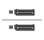 Urban Factory Câble DP Male vers DP Male 1.80m - Noir DisplayPort