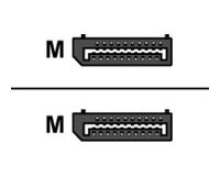 Urban Factory Câble DP Male vers DP Male 1.80m - Noir DisplayPort