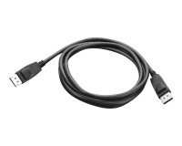Lenovo DisplayPort 1,8 m Noir