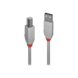 Lindy 36684 câble USB USB 2.0 3 m USB A USB B Gris