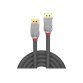 Lindy 36302 câble DisplayPort 2 m Gris