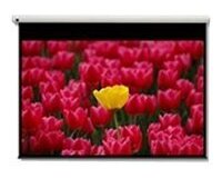 Optoma Pantalla 16:9 2656 x 1494mm écran de projection 3,05 m (120")