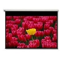 Optoma Pantalla 16:9 2656 x 1494mm écran de projection 3,05 m (120")