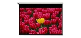 Optoma Pantalla 16:9 2656 x 1494mm écran de projection 3,05 m (120")