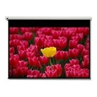 Optoma Panoview DE-9120EGA - Leinwand - 305 cm (120")