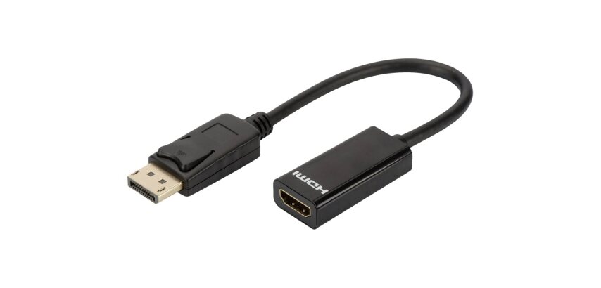 DLH Adaptateur Displayport (M) vers HDMI (F) - Longueur 23cm - HDMI 2.0 (4K / 3840x2160 / 60Hz) - Noir