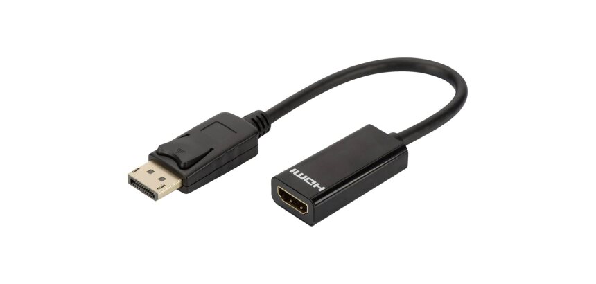 DLH Adaptateur Displayport (M) vers HDMI (F) - Longueur 23cm - HDMI 2.0 (4K / 3840x2160 / 60Hz) - Noir