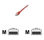 MCL Cable RJ45 Cat5E 0.5 m Red câble de réseau Rouge 0,5 m U/UTP (UTP)