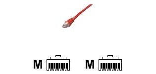 MCL Cable RJ45 Cat5E 0.5 m Red câble de réseau Rouge 0,5 m U/UTP (UTP)