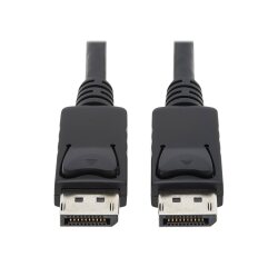 Tripp Lite P580-010 câble DisplayPort 3,05 m Noir
