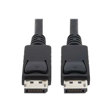 Tripp Lite P580-010 câble DisplayPort 3,05 m Noir