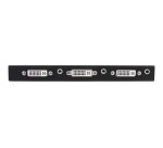 StarTech.com Répartiteur vidéo 2 ports DVI avec audio