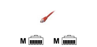 MCL Cable RJ45 Cat6 10.0 m Red câble de réseau Rouge 10 m F/UTP (FTP) Rond