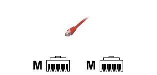 MCL Cable RJ45 Cat6 10.0 m Red câble de réseau Rouge 10 m F/UTP (FTP)