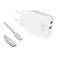 DLH CHARGEUR SECTEUR 2 PORTS USB 12W AVEC CABLE USB-C