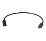 i-tec C31EXTENDCBL câble USB 0,3 m USB 3.1 Type-C Noir