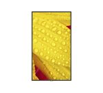 NEC MultiSync ME501 Écran plat de signalisation numérique 127 cm (50") VA 400 cd/m² 4K Ultra HD Noir 18/7