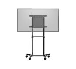 StarTech.com Chariot Meuble TV - Support TV sur Roulettes Portable pour Écrans VESA 37-70" (70kg) - Pied TV avec Étagère de Rangement - Inclinable - Gabarit de Montage Universel Télévision