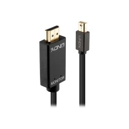 Lindy 36927 câble vidéo et adaptateur DisplayPort HDMI Type A (Standard) Noir