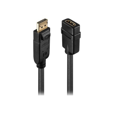 Lindy 41005 câble vidéo et adaptateur 0,15 m DisplayPort HDMI Noir