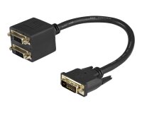 StarTech.com Câble Répartiteur en Y DVI-D vers 2x DVI-D 30 cm - Câble Splitter DVI-D - M/F