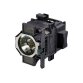 Epson Lamp (x2) - ELPLP82