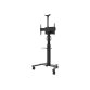 Neomounts FL50S-825BL1 Support au sol mobile pour écran 37-75" - TÜV