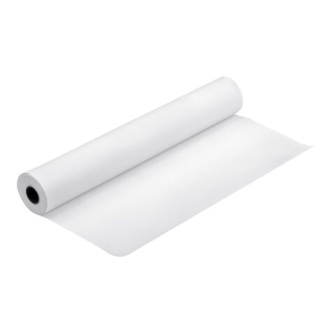 Epson Pap Proofing Blanc Semi-Mat 256g 17" (0,432x30,5m)