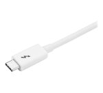 StarTech.com Câble Thunderbolt 3 de 2 m - 20 Gb/s - Compatible Thunderbolt, USB et DisplayPort - Blanc