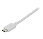 StarTech.com Câble adaptateur USB C vers DisplayPort de 1,8 m - 4K 60 Hz - Blanc