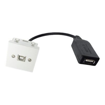 Neklan Plastron45x45USB B F/USB A F ampli-0,2m câble USB USB 2.0 USB B Noir, Blanc