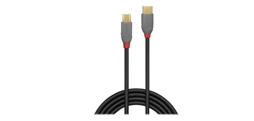 Lindy Câble USB 2.0 Type C vers Micro-B, Anthra Line, 2m