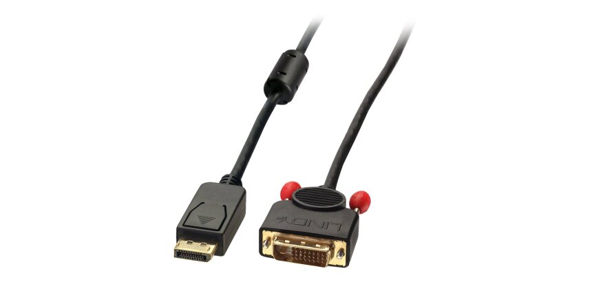Lindy Câble adaptateur 3m DisplayPort vers DVI-D