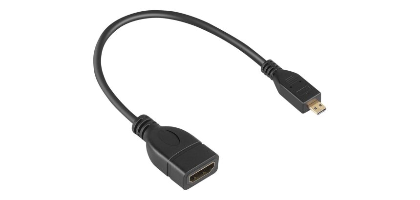 DLH Adaptateur micro HDMI (M) vers HDMI (F)