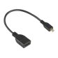 DLH ADAPTATEUR MICRO HDMI (M) VERS HDMI (F)