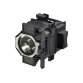 Epson ELPLP81 - projector lamp