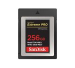 SanDisk SDCFE-256G-GN4NN mémoire flash 256 Go CFexpress