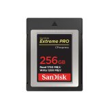 SanDisk SDCFE-256G-GN4NN mémoire flash 256 Go CFexpress