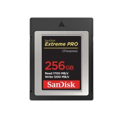 SanDisk SDCFE-256G-GN4NN mémoire flash 256 Go CFexpress