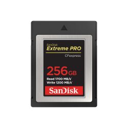 SanDisk SDCFE-256G-GN4NN mémoire flash 256 Go CFexpress