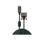 Lindy Câble adaptateur DisplayPort vers DVI-D 2m